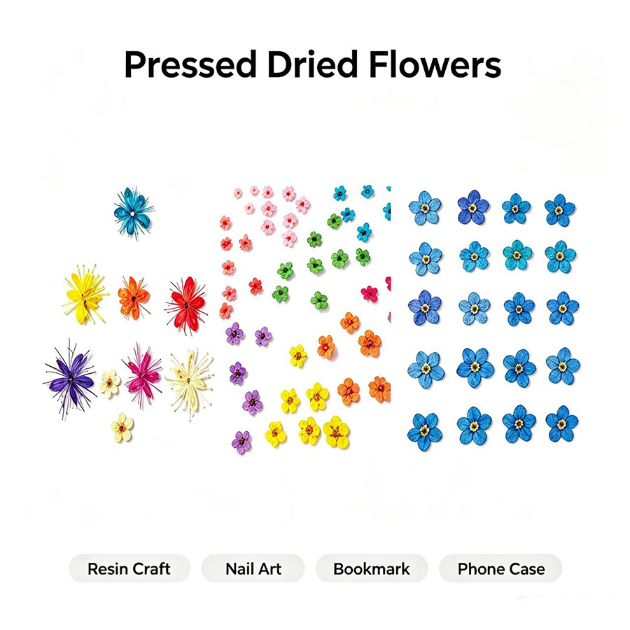 Resin Art Baby - 60 pezzi di fiori secchi pressati
