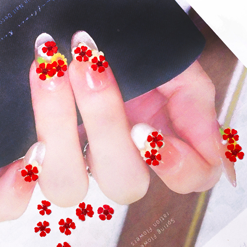 96 pezzi di fiori pressati nat - Resin Art Baby recensione e prezzo