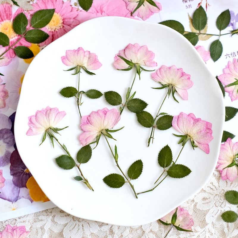 12 pezzi, Fiori Pressati Essic - Resin Art Baby recensione e prezzo